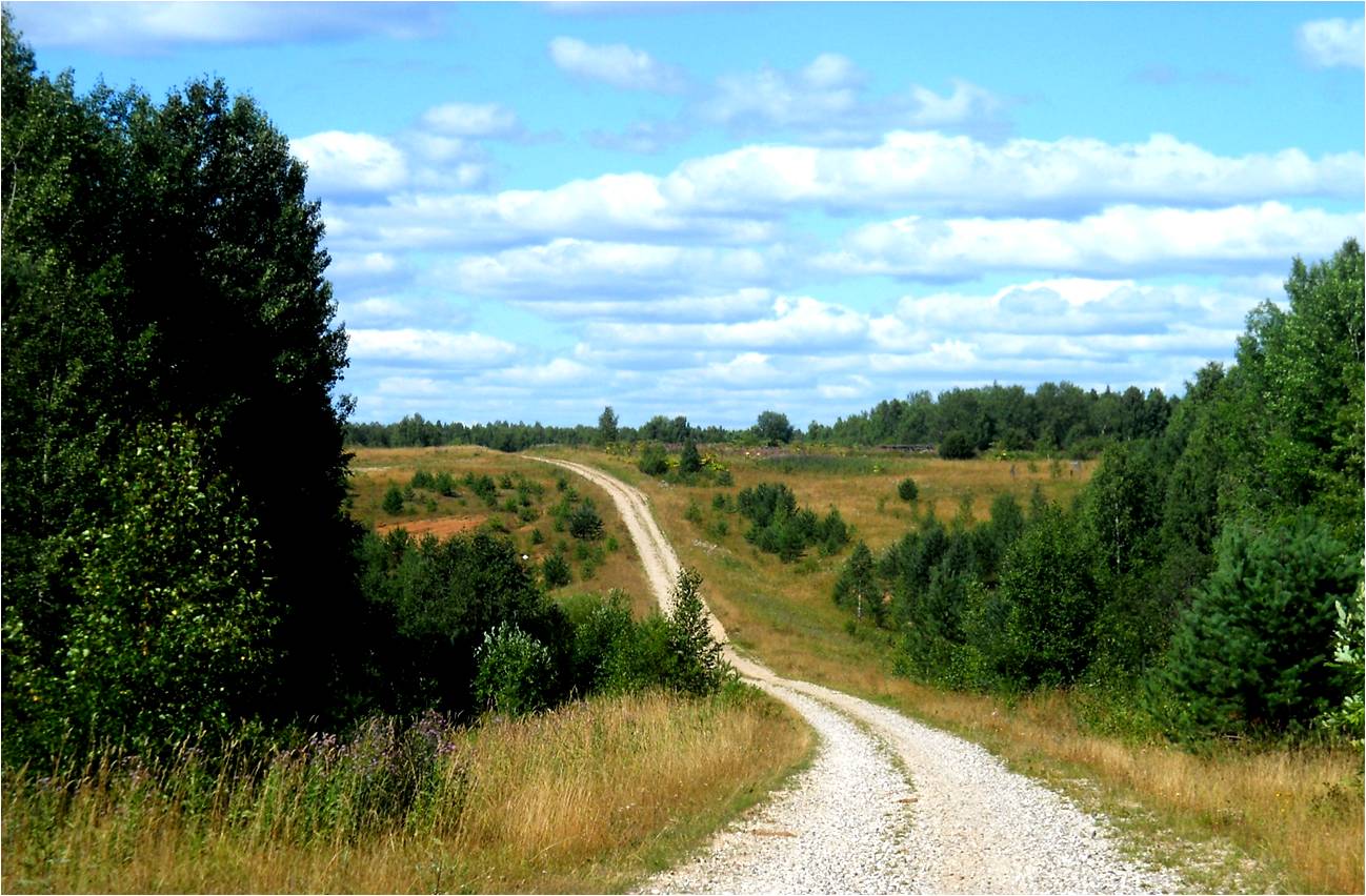 Деревня плехова. Плехово Курская область. Село плёхово. Загородье (Тверская область). Картинки Курской Стремоухово